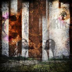 Random Mullet : Capturing Moments